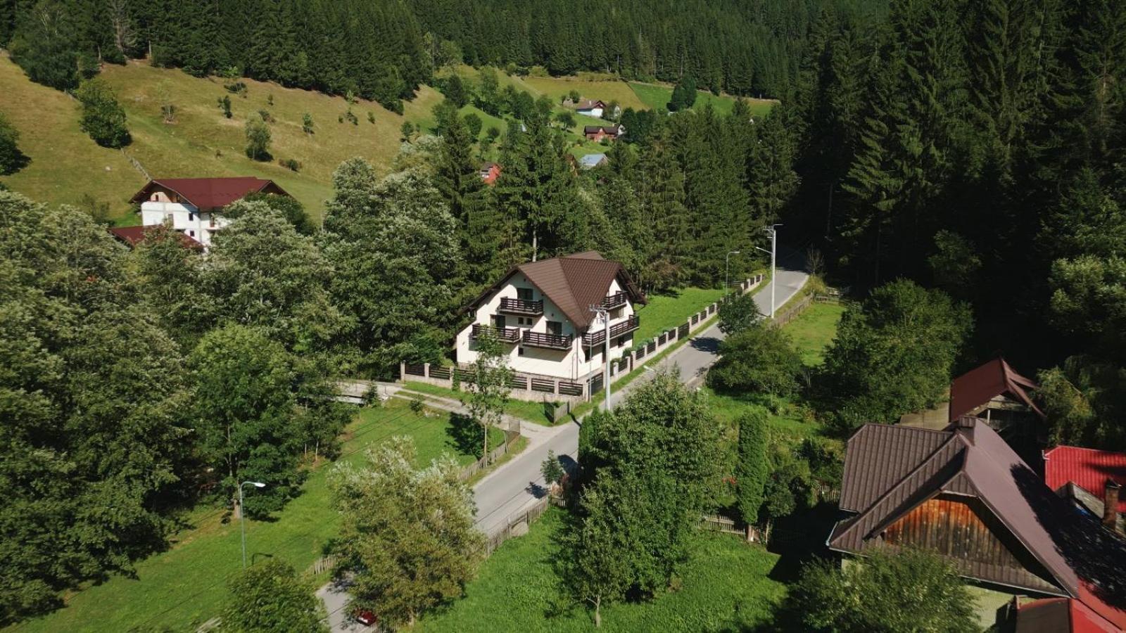 Vila Green & White Moeciu De Sus Exterior photo